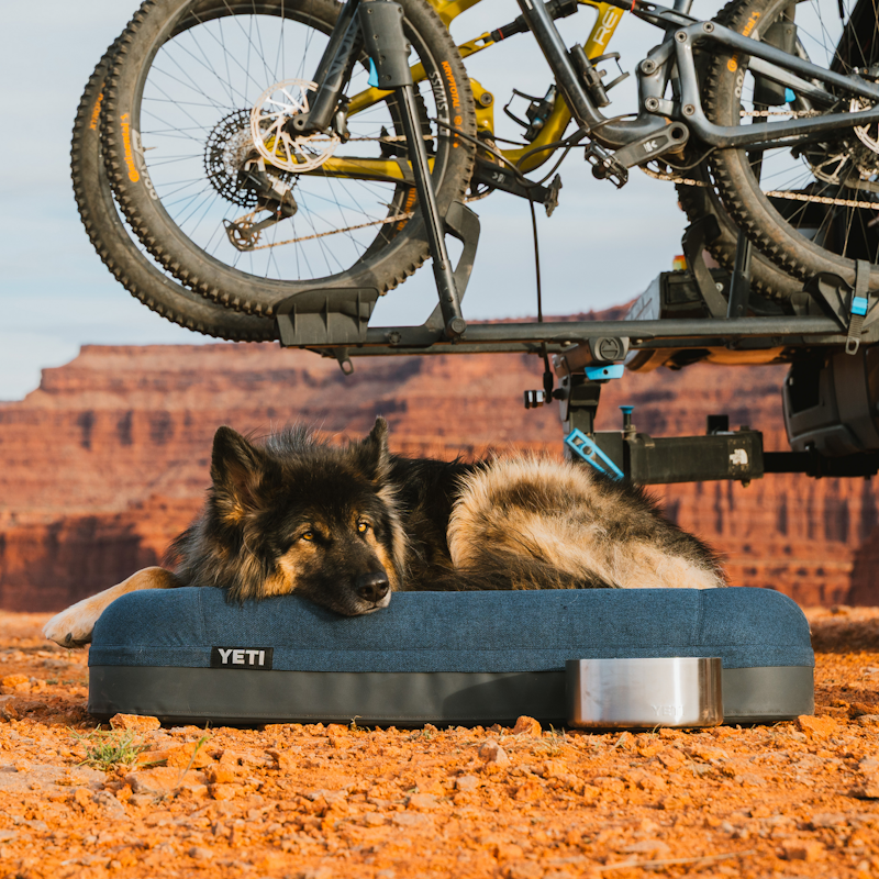 Boomer™ Dog Bed Large Navy