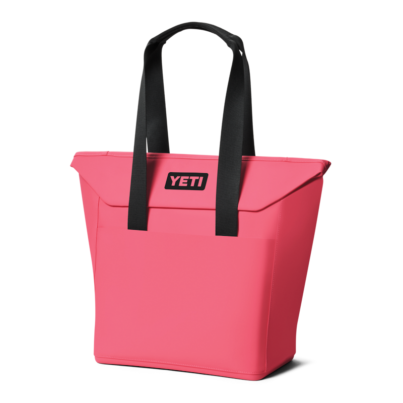 Daytrip® 20L Insulated Tote Bag