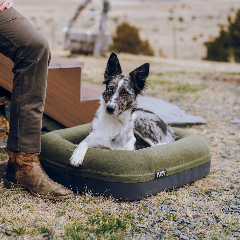 Boomer™ Dog Bed Small Olive