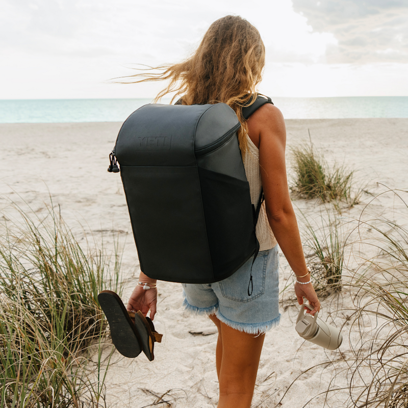 Daytrip® 20L Insulated Backpack Aspen/Pampa/Wild Vine